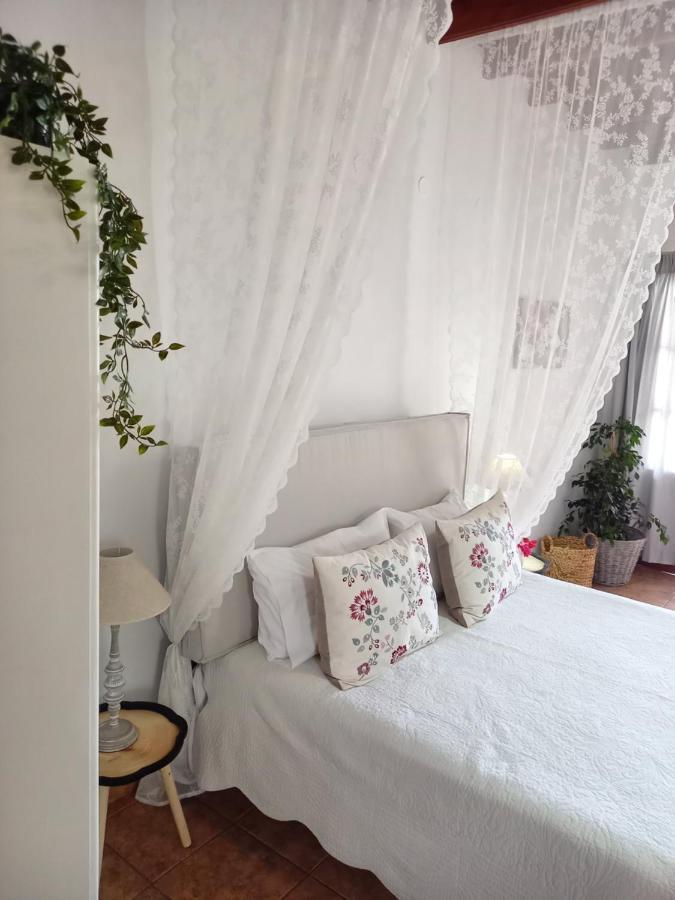 Apartment Stefanos Katsaros *